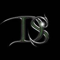 logo Dragon Steel logo Dragon Steel